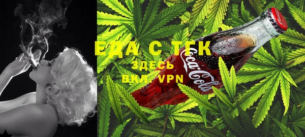 шишки Кодинск