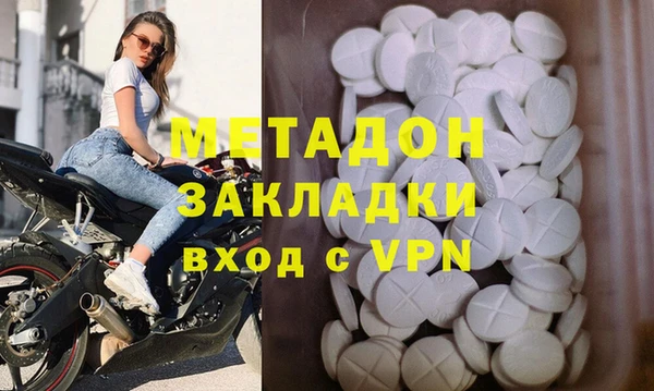 шишки Кодинск