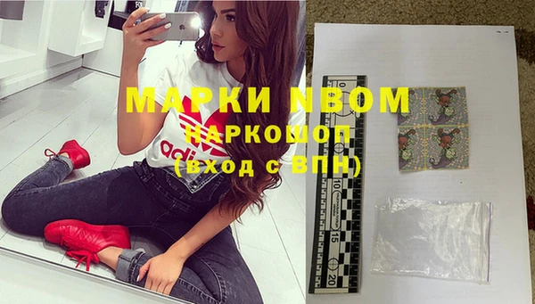 шишки Кодинск