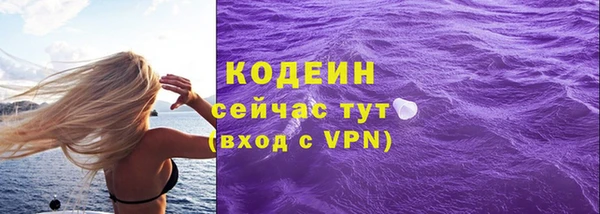 шишки Кодинск
