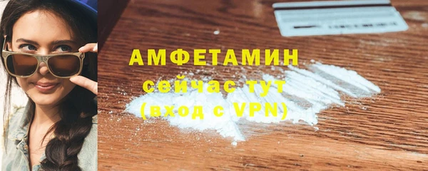 шишки Кодинск