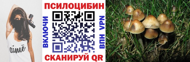 купить наркотик  Новомосковск  Псилоцибиновые грибы MAGIC MUSHROOMS 