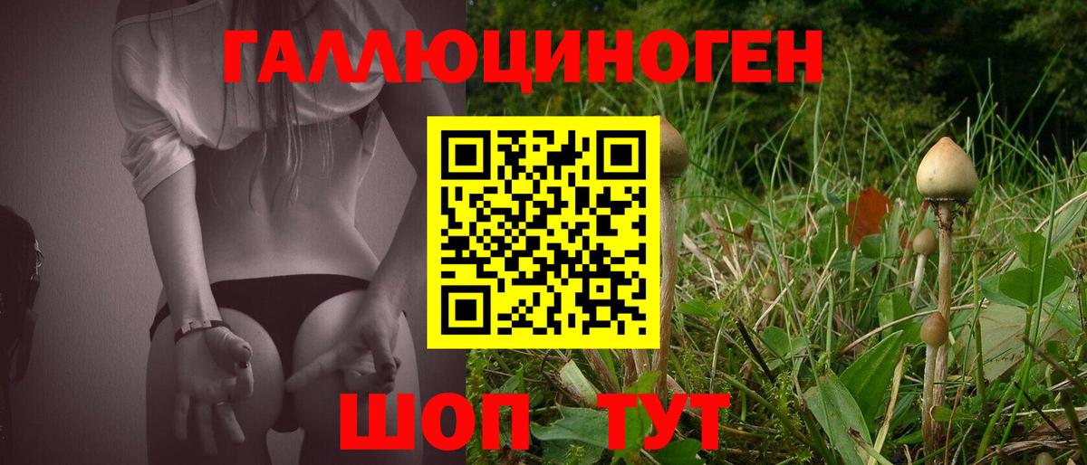 Новомосковск  Галлюциногенные грибы Cubensis  Вход с VPN 