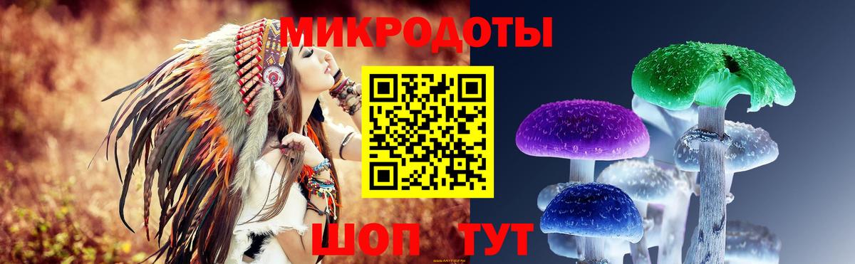 Псилоцибиновые грибы прущие грибы Новомосковск